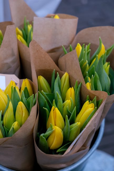 Close-up of multiple bouquets of fresh yellow tulips with green stems and leaves, wrapped in brown craft paper. The bouquets are arranged in a container, with the tulips displayed with their petals pa